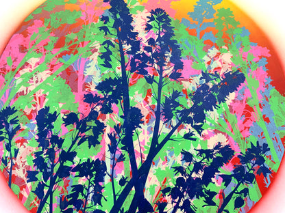 Bluebells 38