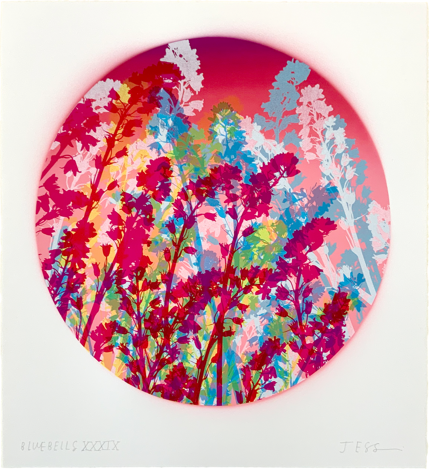 Bluebells 39