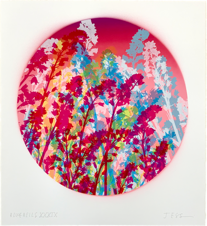 Bluebells 39