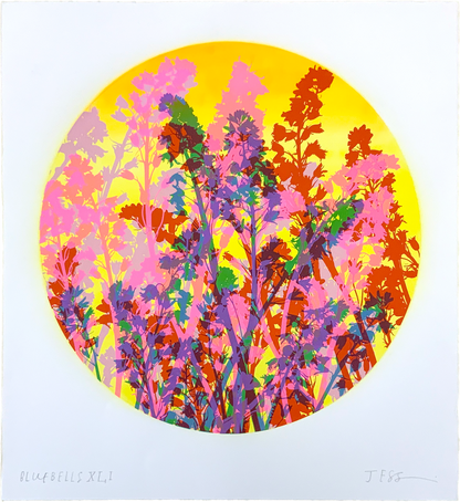 Bluebells 41