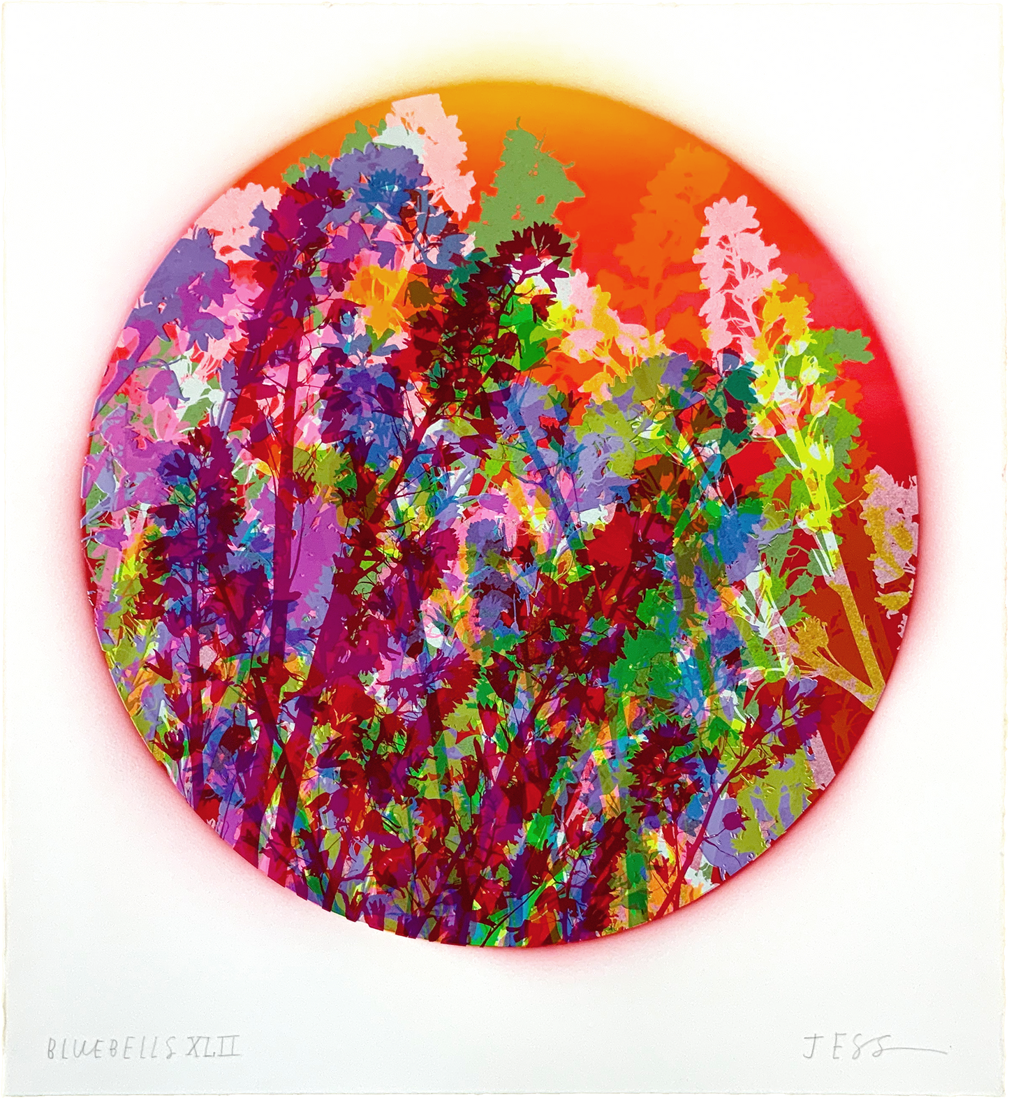 Bluebells 42