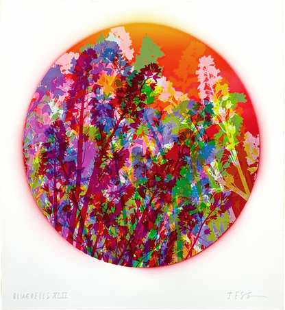 Bluebells 42