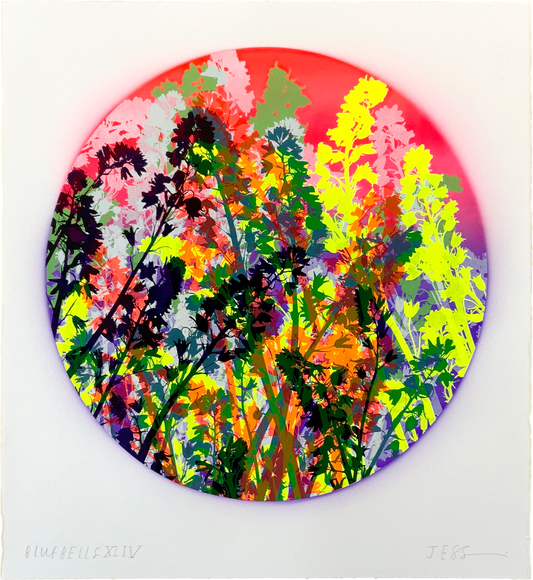 Bluebells 44