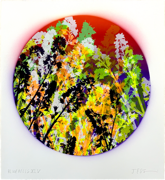 Bluebells 45