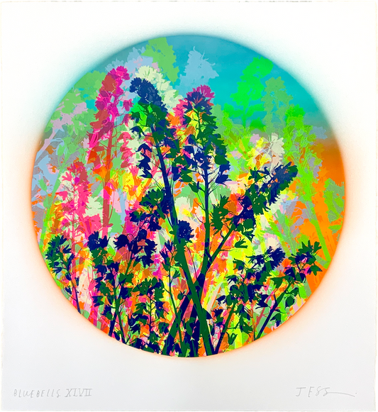 Bluebells 47
