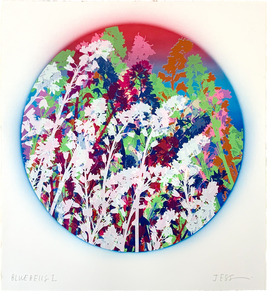Bluebells 50