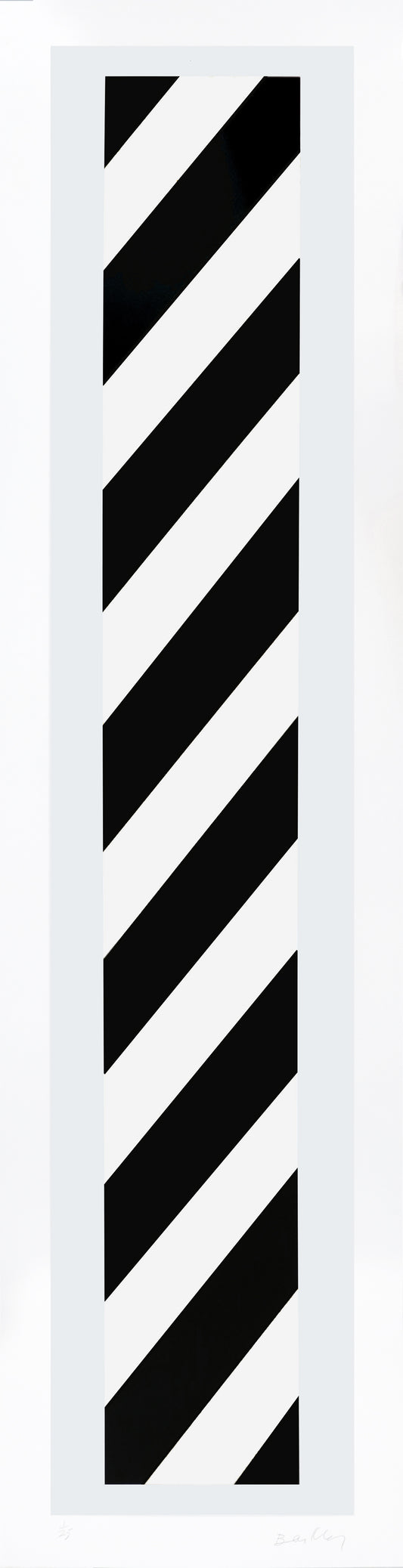 Haç/Col 15 - White