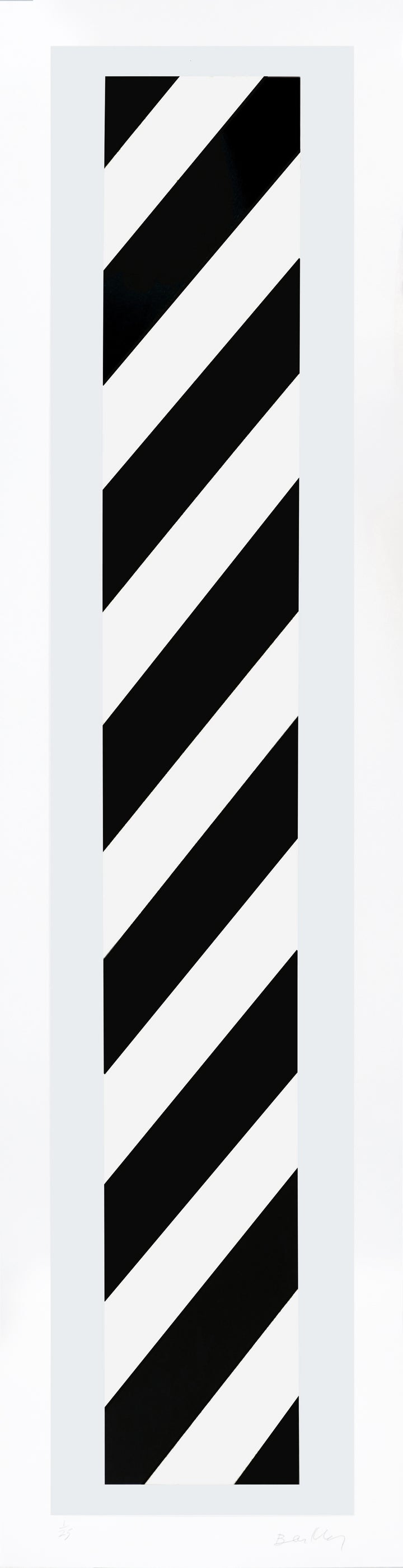 Haç/Col 15 - White