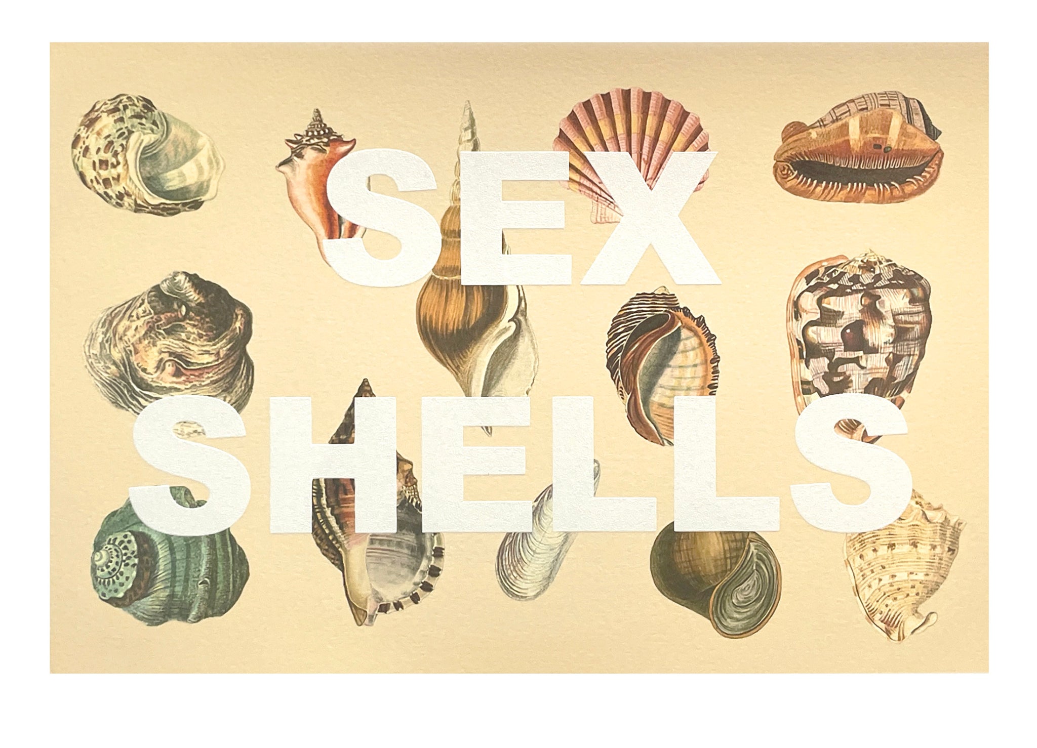 Ménage à Trois (Sex Shells)