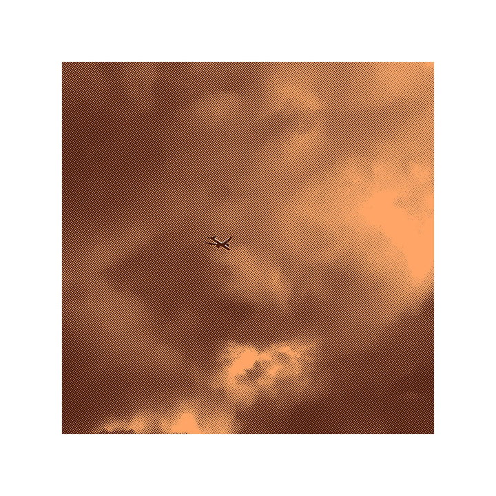 Sunsetting (Avian XI)
