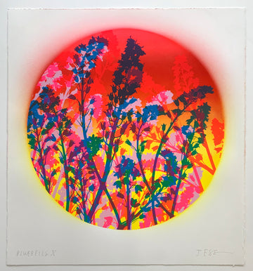 Jess Wilson – Jealous Gallery