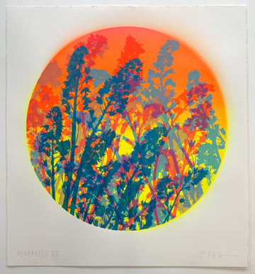 Jess Wilson – Jealous Gallery