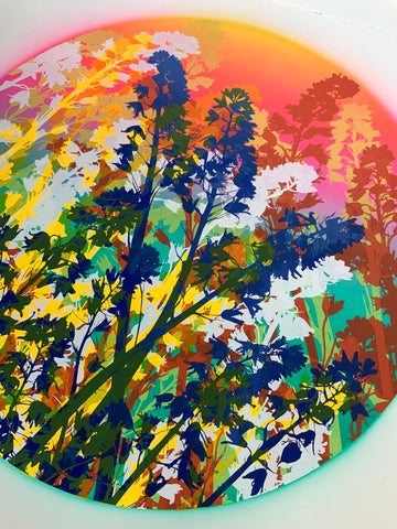 Jess Wilson – Jealous Gallery