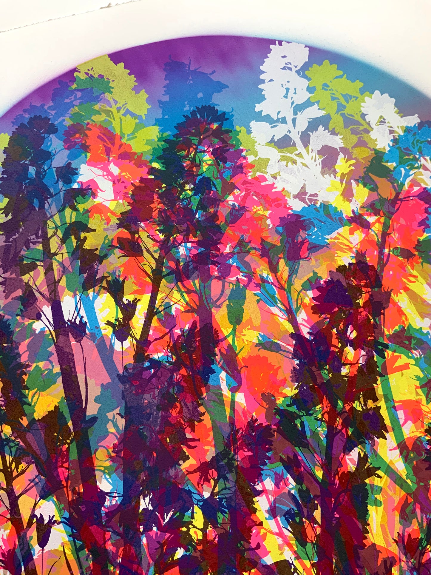 Bluebells 14