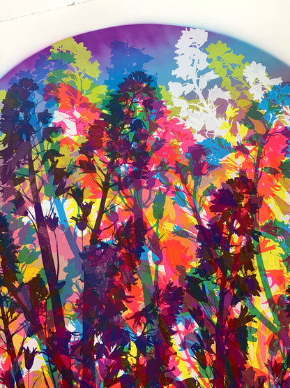 Bluebells 14