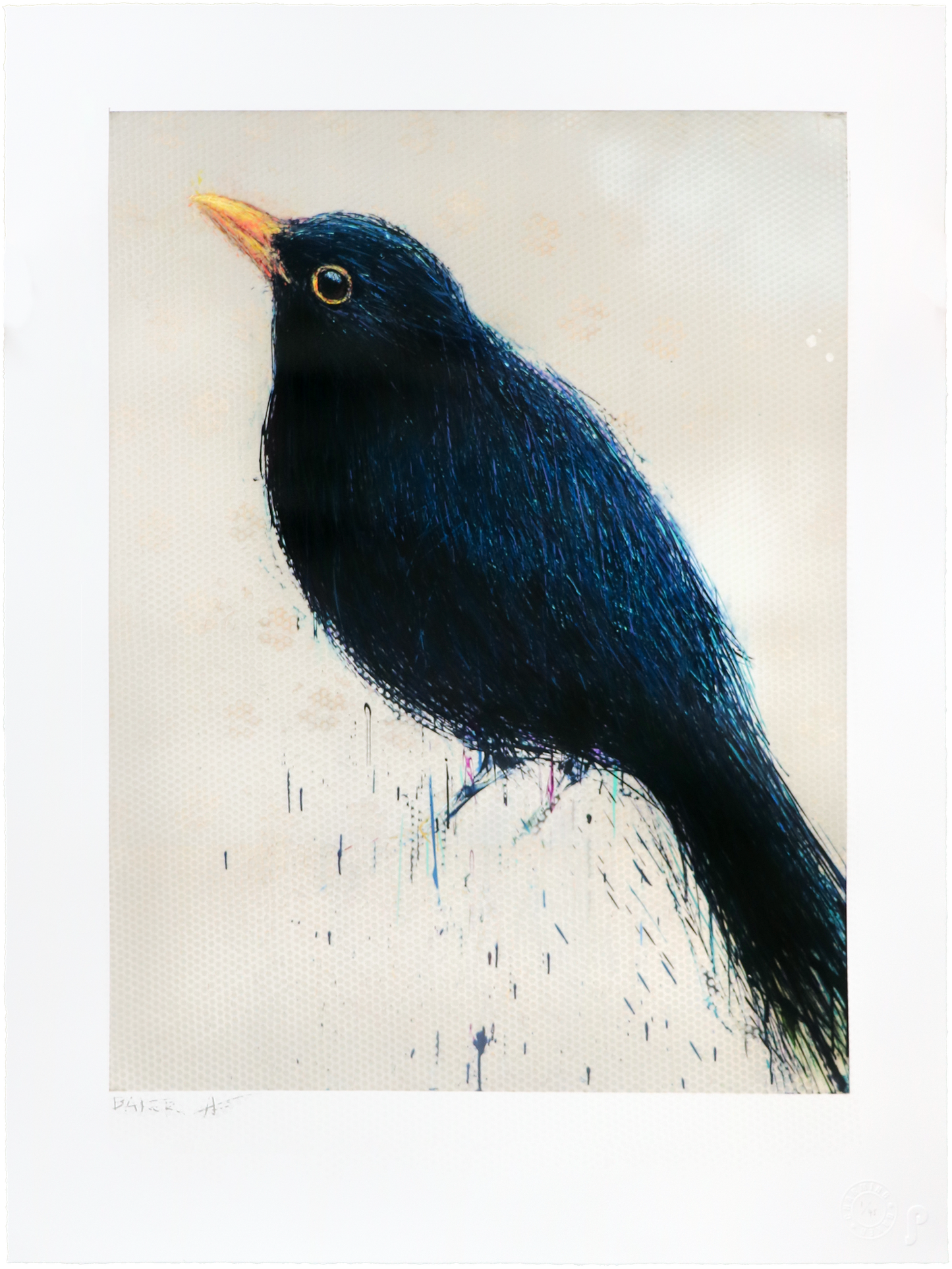 Black Bird