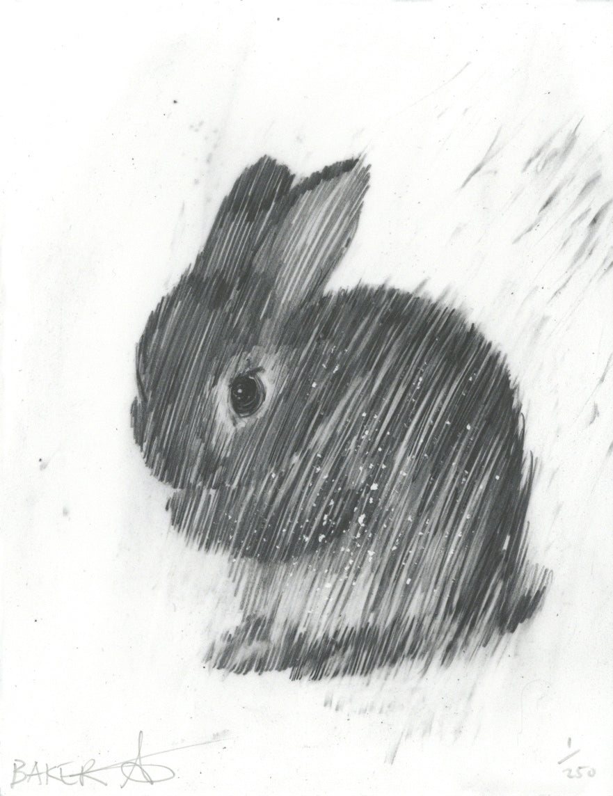 Tiny Love Bunny VI