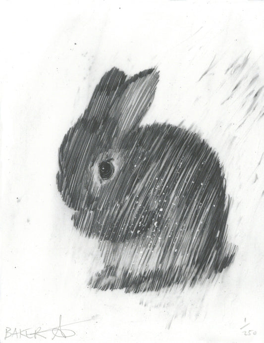 Tiny Love Bunny VI