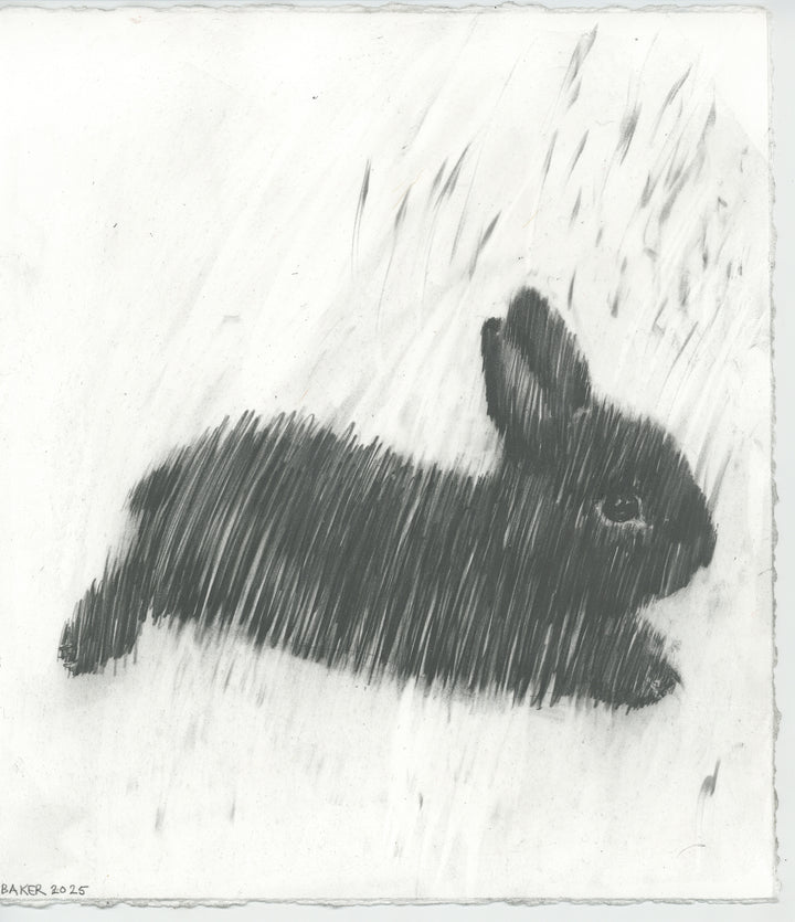 Love Bunny - 14