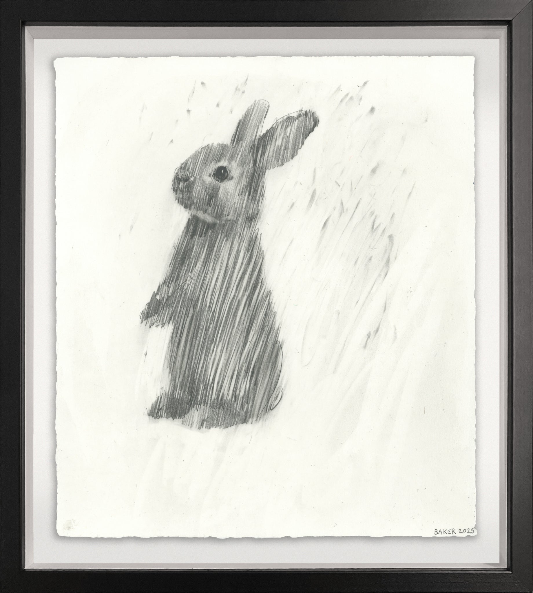 Love Bunny - 1