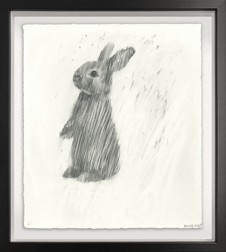Love Bunny - 1