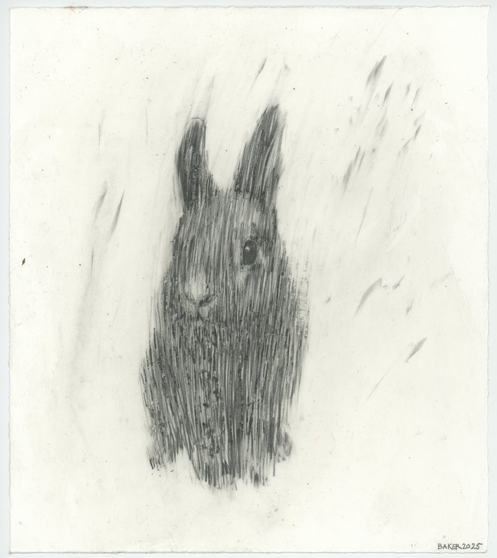 Love Bunny - 40
