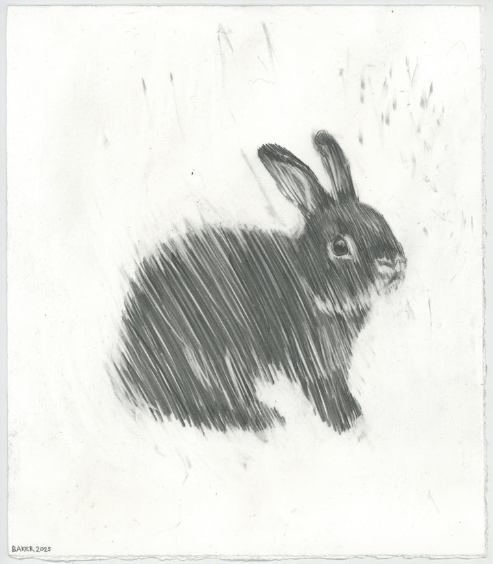 Love Bunny - 42