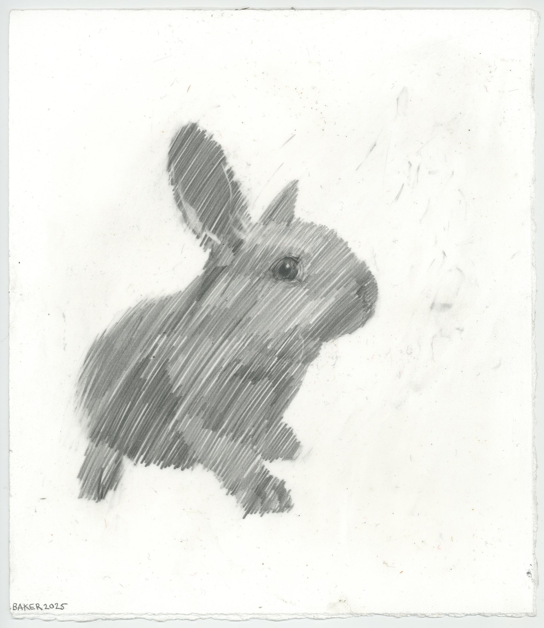 Love Bunny - 45