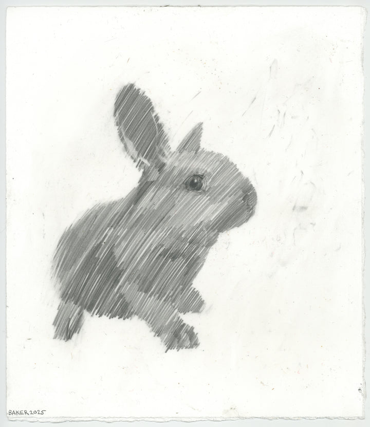 Love Bunny - 45