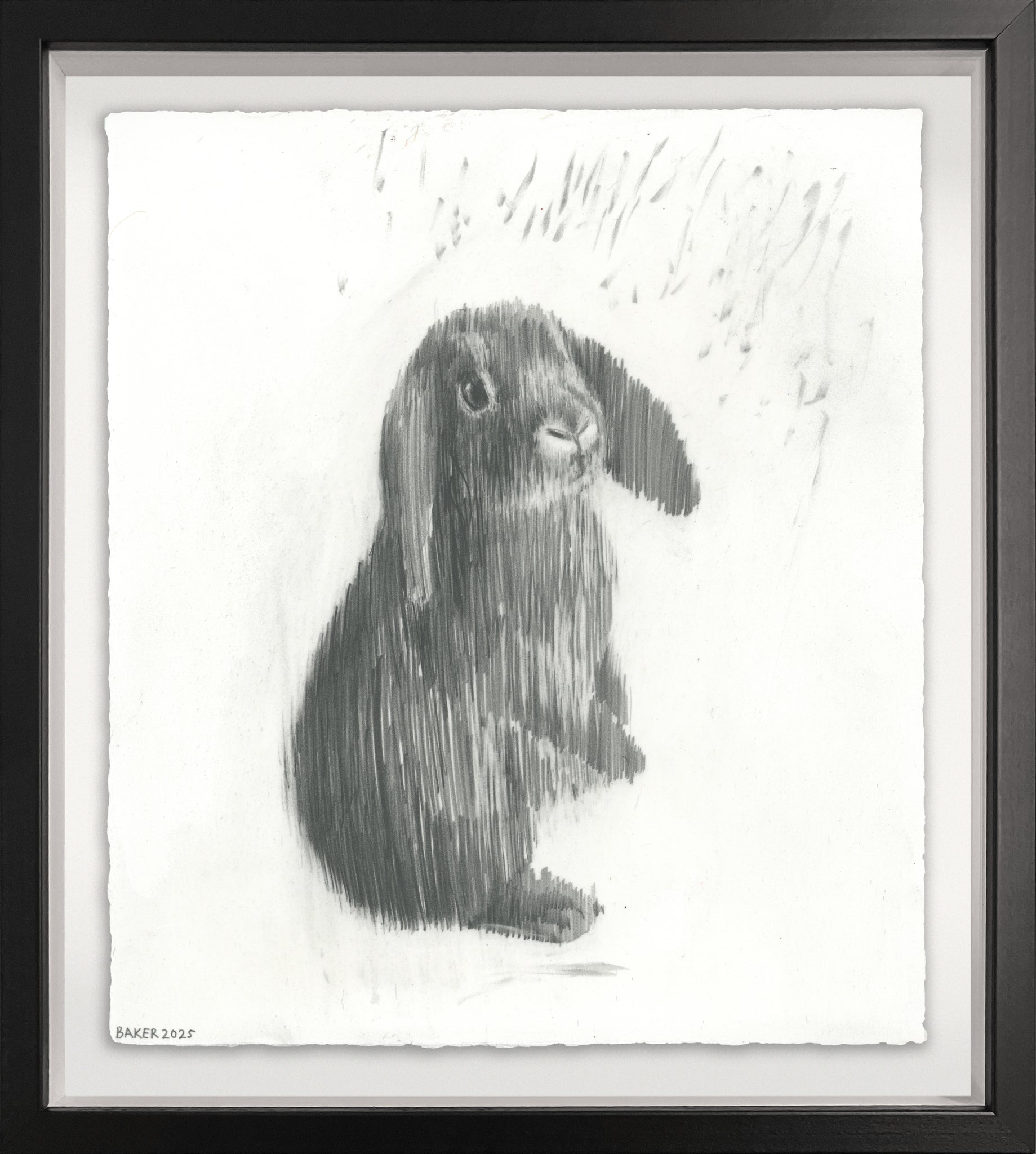 Love Bunny - 7