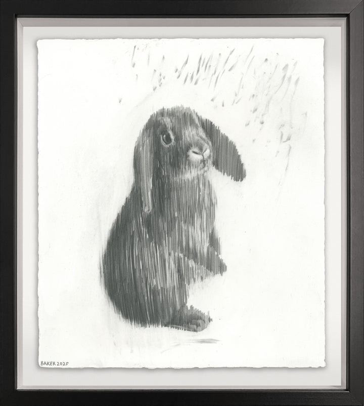 Love Bunny - 7