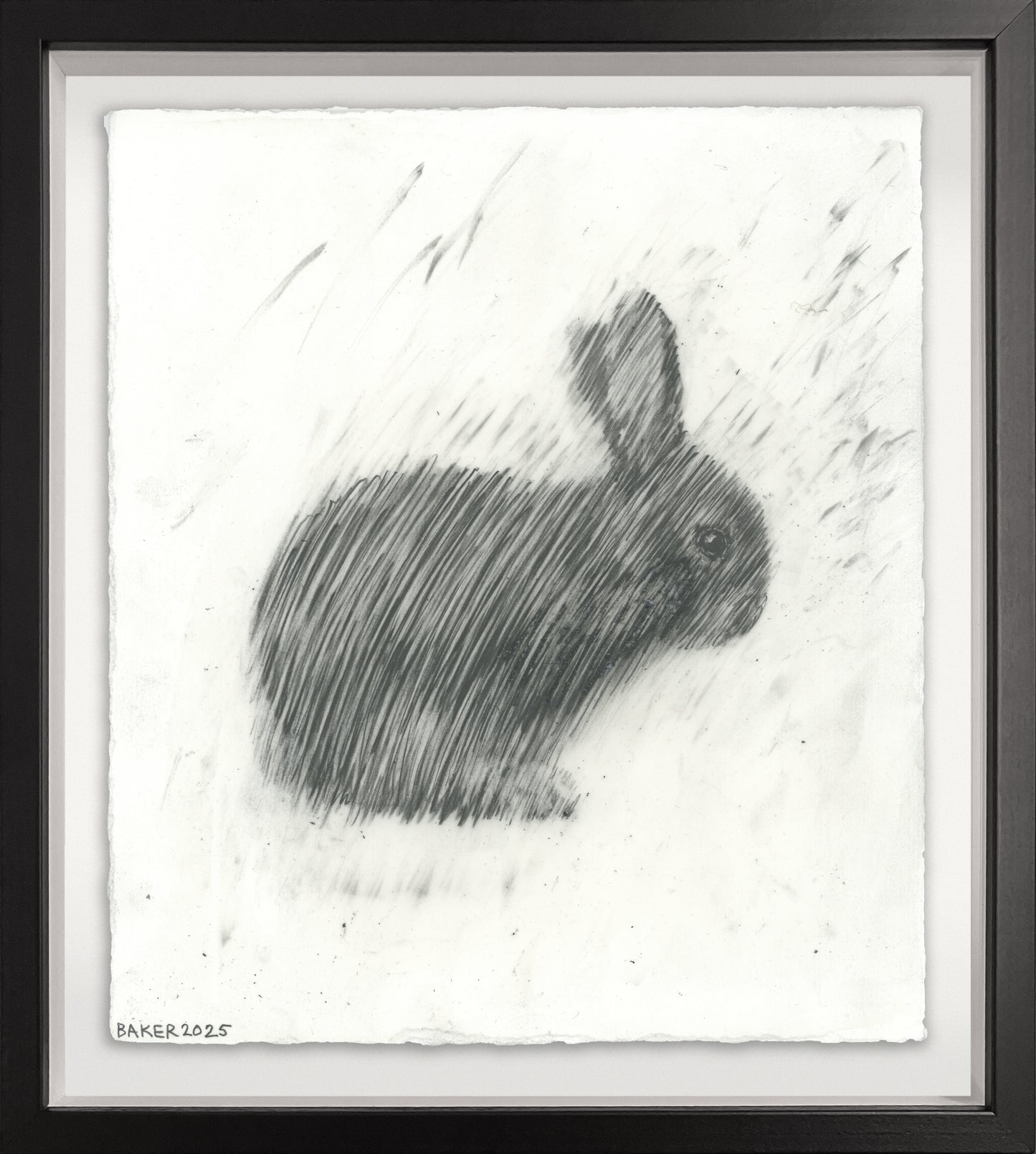 Love Bunny - 100