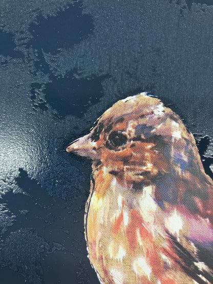 Small Wonders - Chaffinch