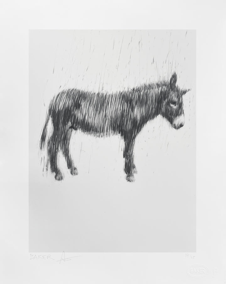 Last Donkey