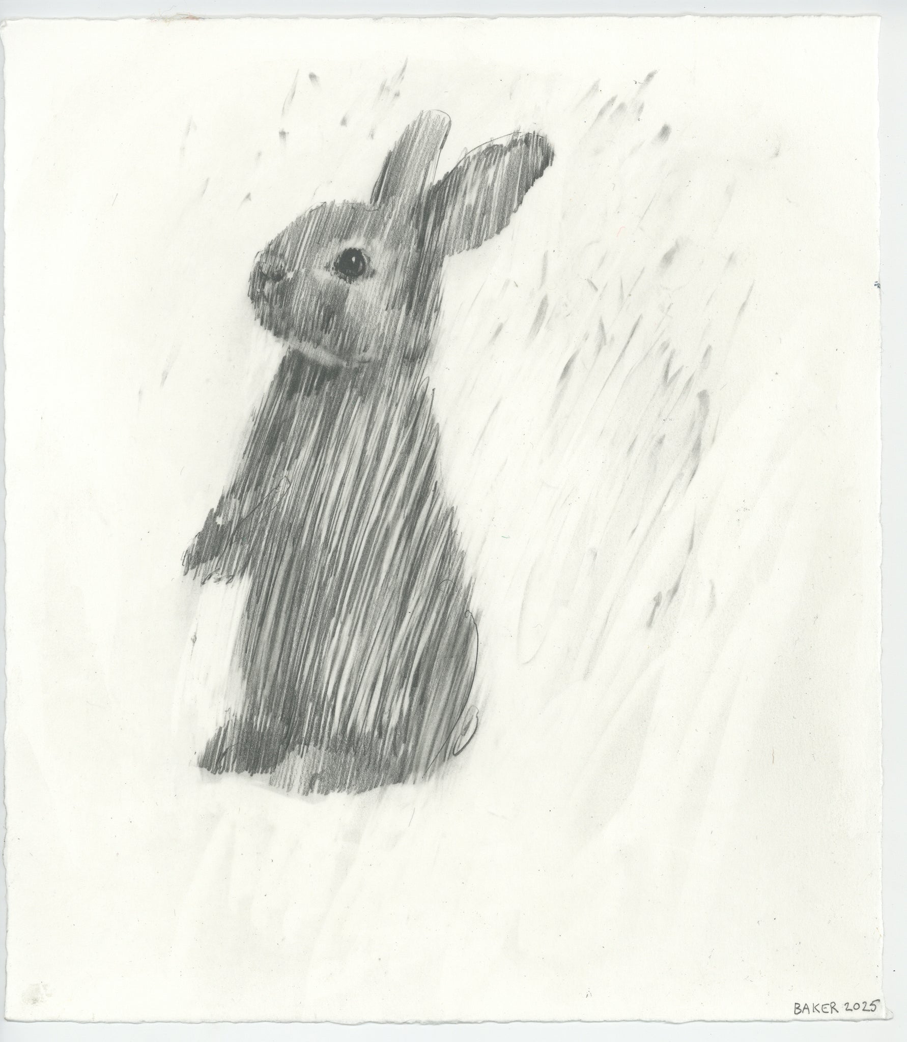 Love Bunny - 1