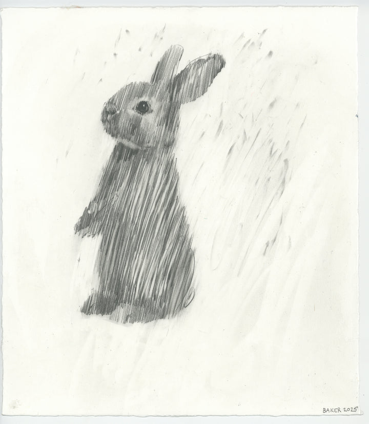 Love Bunny - 1