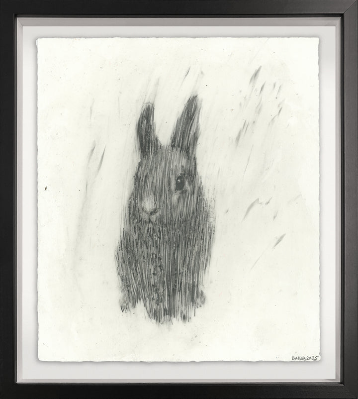 Love Bunny - 40