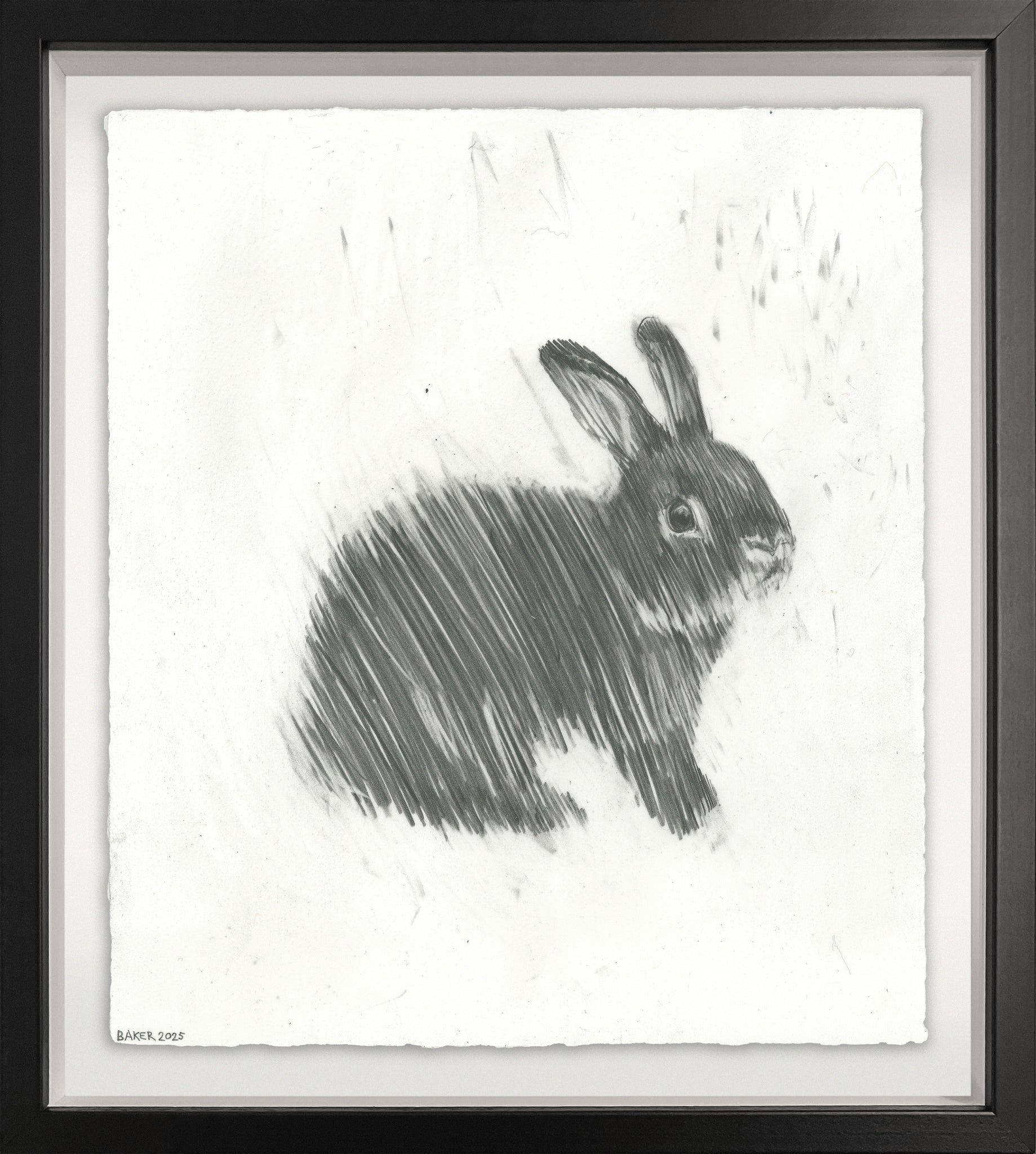 Love Bunny - 42
