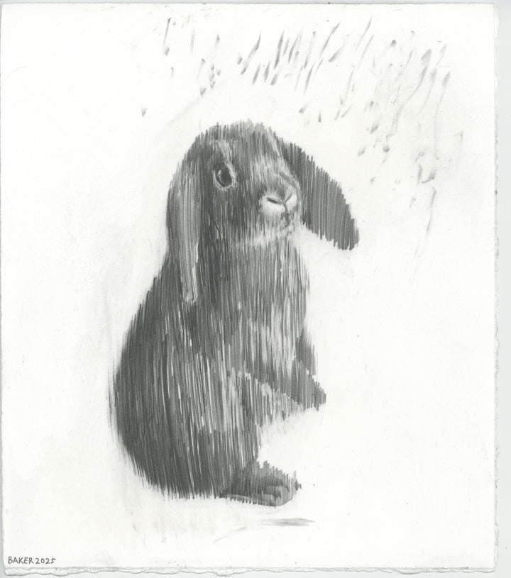 Love Bunny - 7
