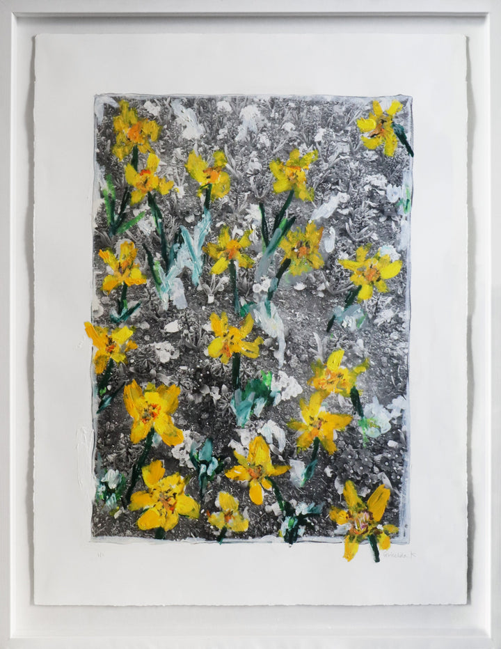 Blooms - Daffodil - Framed