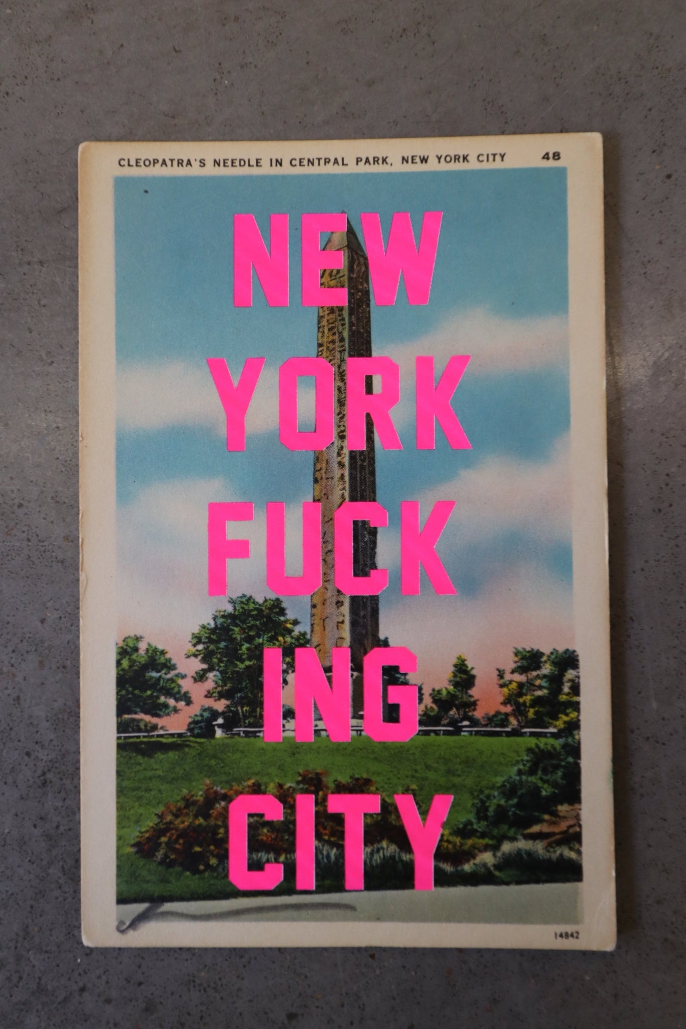 New York Fucking City Postcard