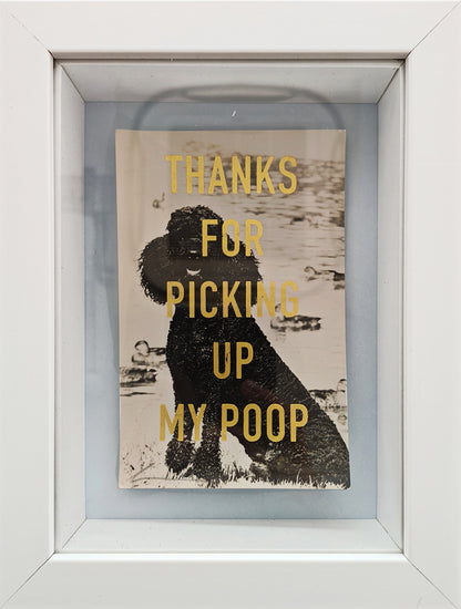 Thanks... (Framed)