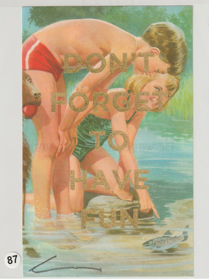 Don't Forget To Have Fun