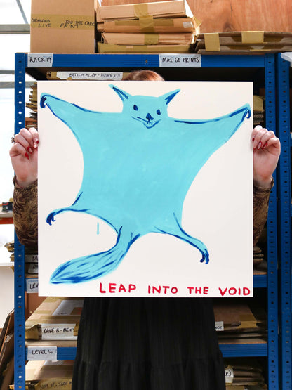 Leap Into The Void