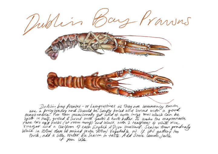 Dublin Bay Prawns