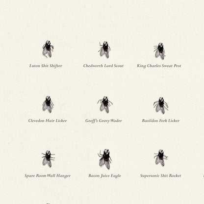 Flies of British Isles