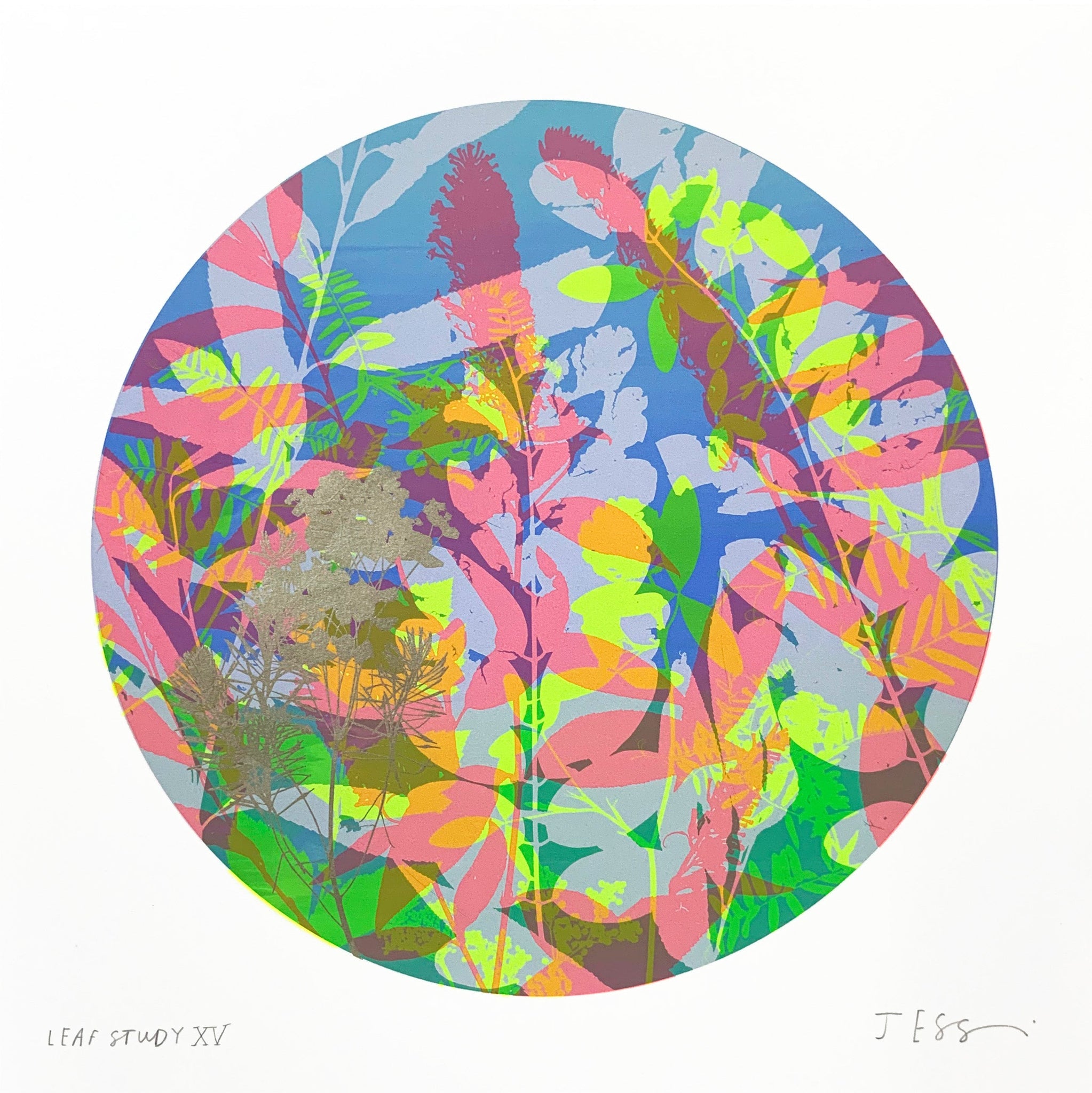 Leaf Study 15