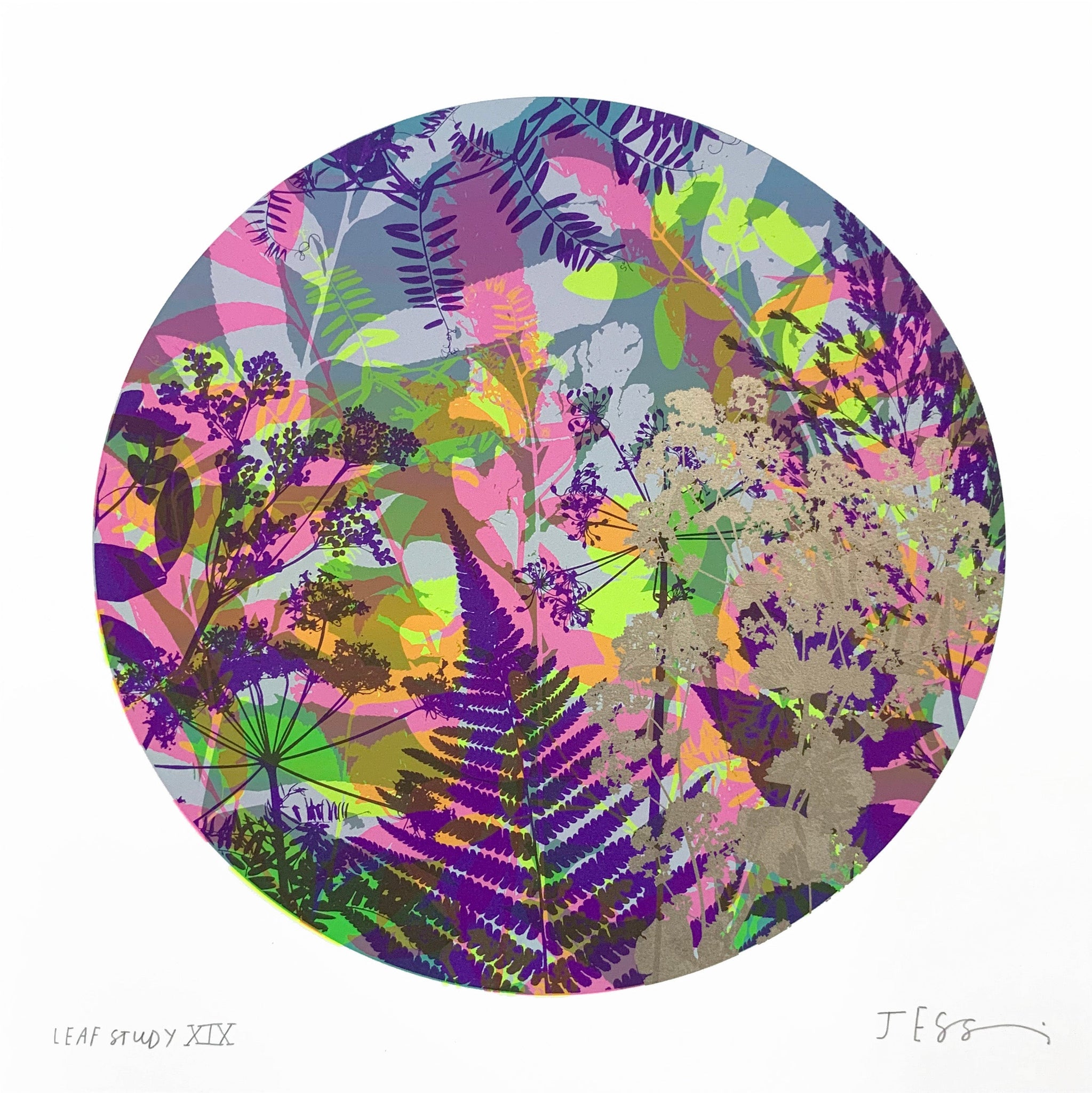 Leaf Study 19