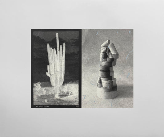 145 Giant Cactus