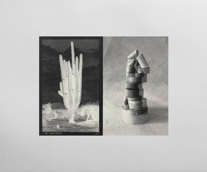 145 Giant Cactus